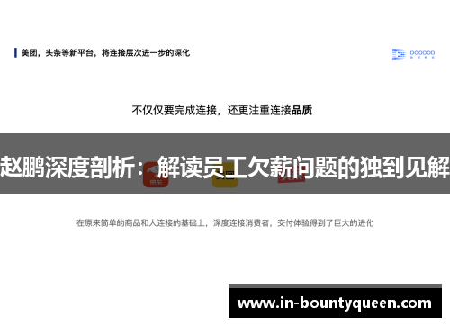 赵鹏深度剖析：解读员工欠薪问题的独到见解