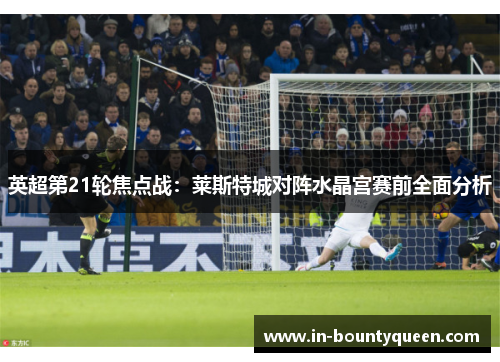 英超第21轮焦点战:莱斯特城对阵水晶宫赛前全面分析 英超第21轮焦点战:莱斯特城对阵水晶宫赛前全面分析